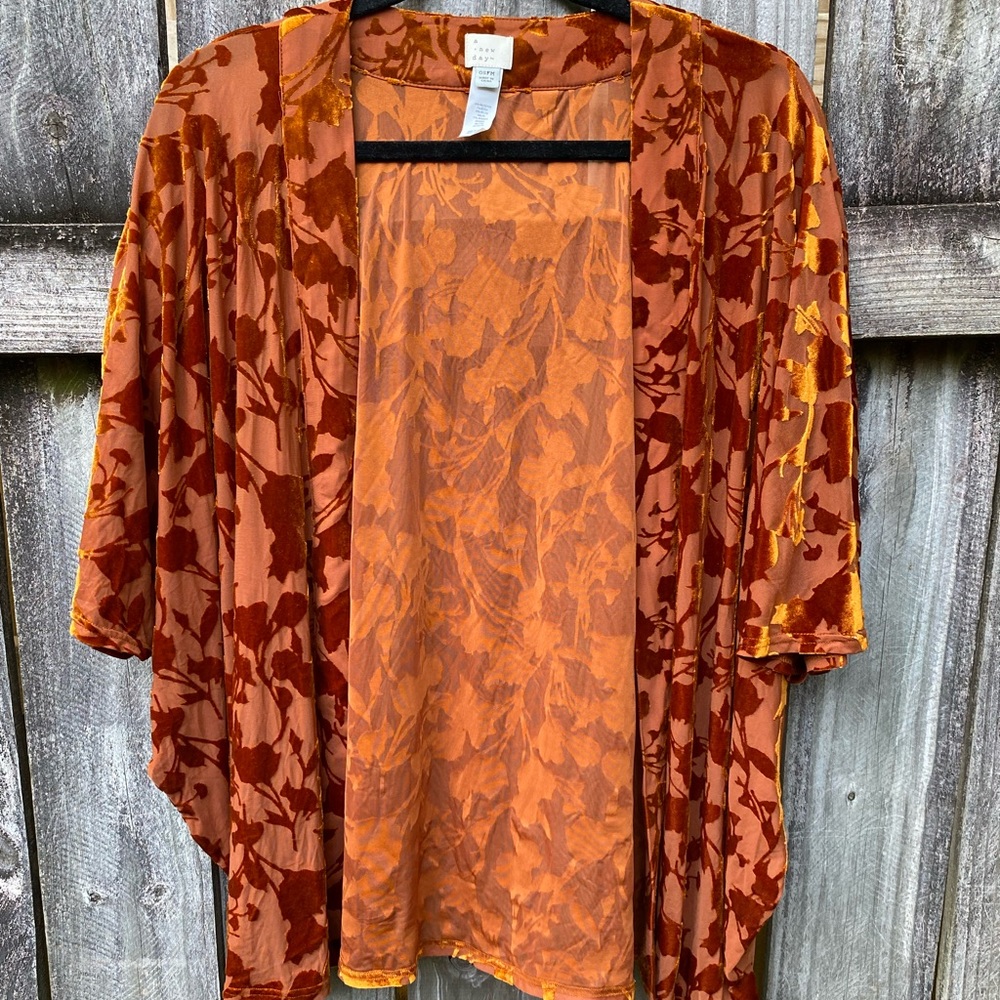 A New Day Velvet Kimono